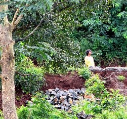 Ananda India Centers, Groups and Community